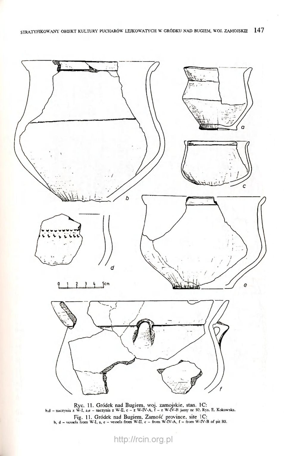 e - naczynia z W-II, c - z W-IV-A, f - z W-IV-B jamy nr 80. Rys. E. Kokowska. Fig. 11.