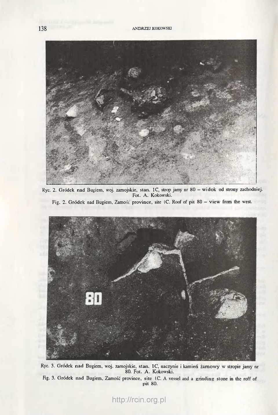 Zamość province, site 1C. Roof of pit 80 - view from the west. Ryc. 3. Gródek nad Bugiem, woj. zamojskie, stan.