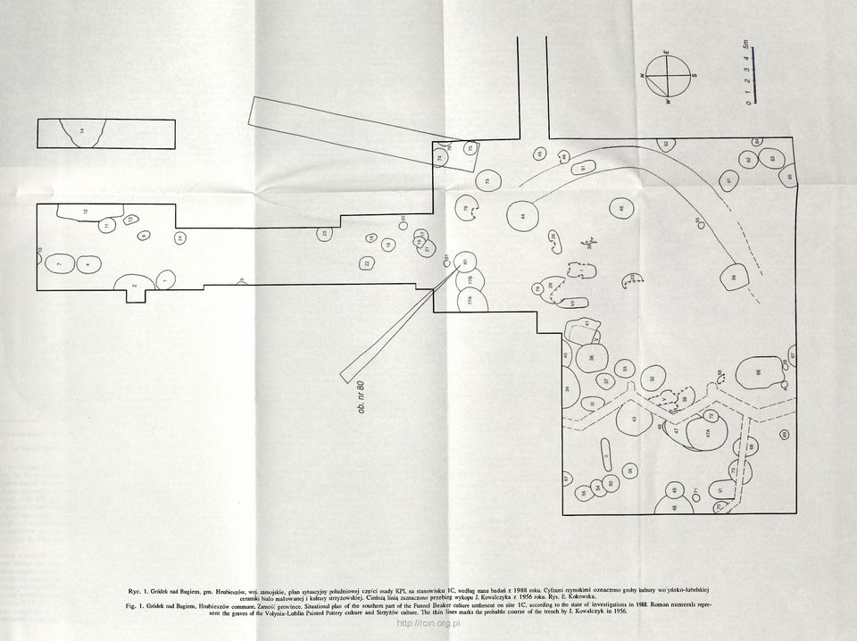 E. Kokowska. Fig. 1. Gródek nad Bugiem, Hrubieszów commune, Zamość province. Situational plan of the southern part of the Funnel Beaker culture settlement on site 1C.