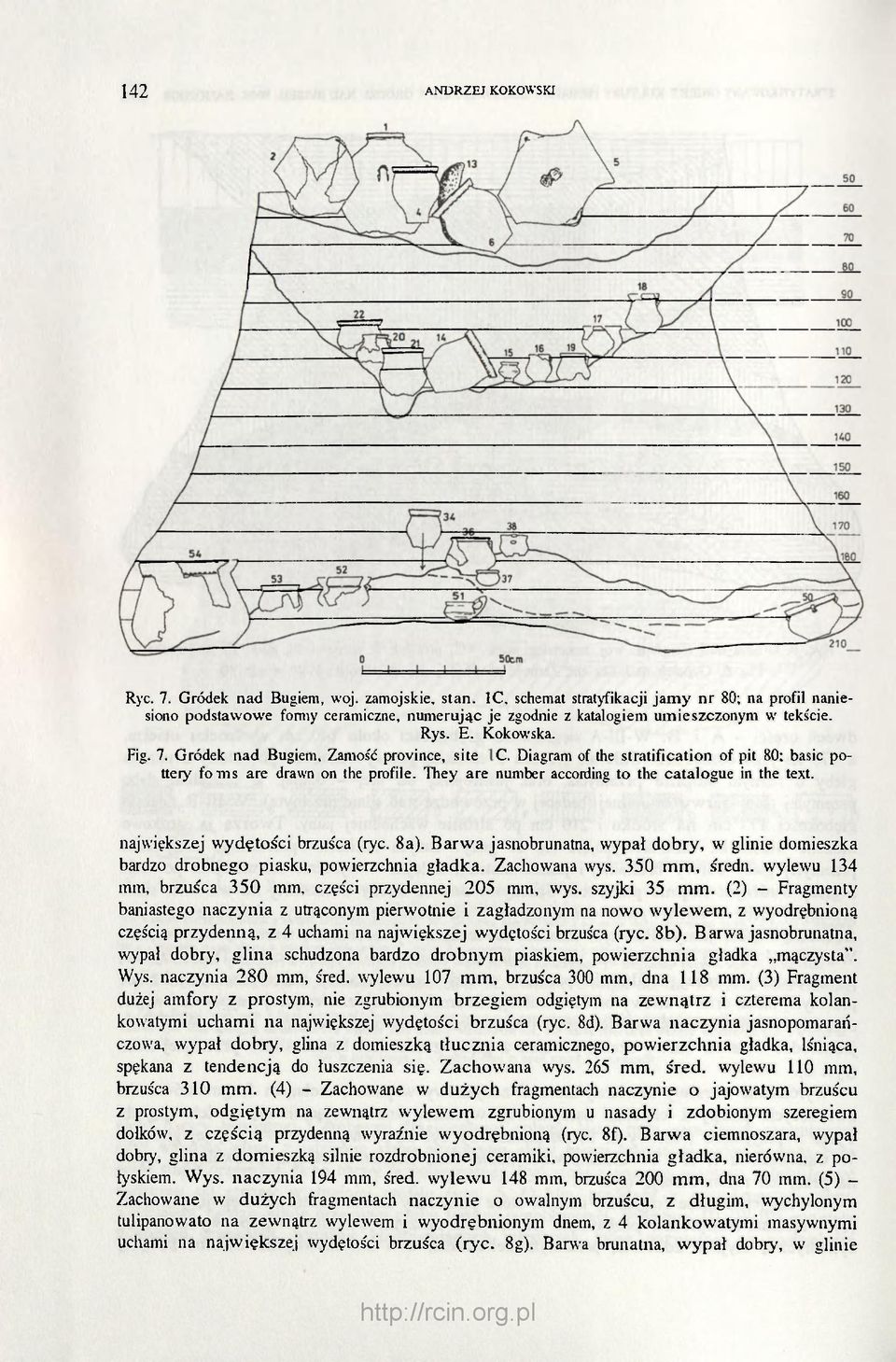 Zamość province, site 1C. Diagram of the stratification of pit 80; basic pottery forms are drawn on the profile. They are number according to the catalogue in the text.