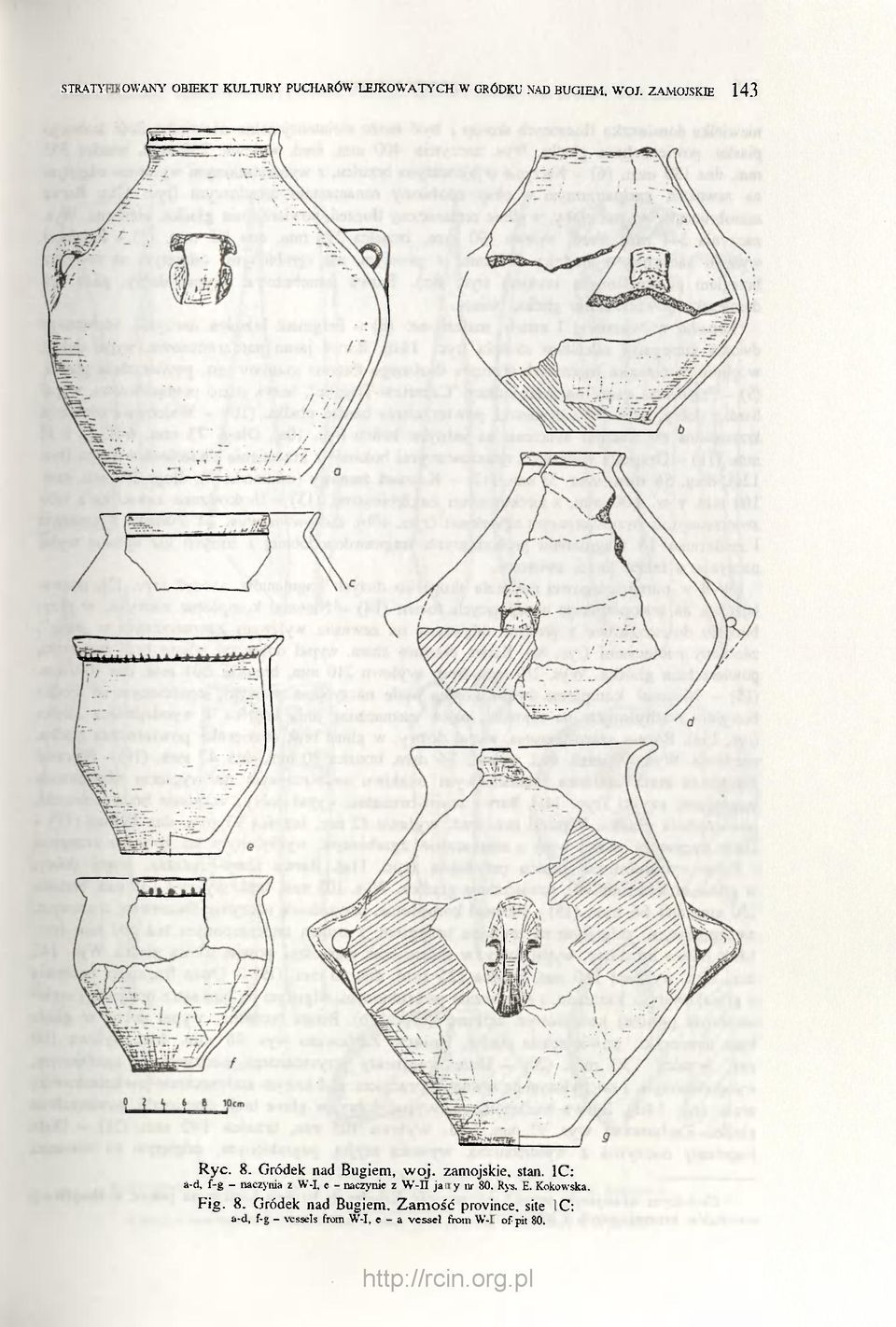 1C: a-d, f-g - naczynia z W-I, e - naczynie z W-II jamy nr 80. Rys. E. Kokowska. Fig.