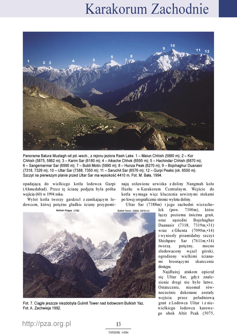 (6270 m); 9 Bojohaghur Duanasir (7318, 7329 m); 10 Ultar Sar (7388, 7350 m); 11 Saruchit Sar (6576 m); 12 Gurpi Peaks (ok. 6500 m). Szczyt na pierwszym planie przed Ultar Sar ma wysokość 4410 m. Fot.