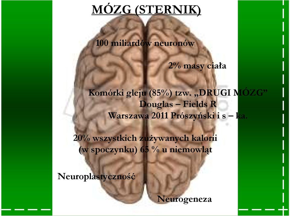 DRUGI MÓZG Douglas Fields R Warszawa 2011 Prószyński i s