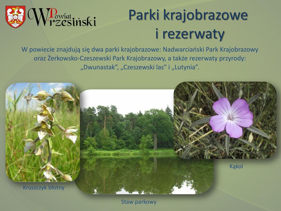 Żerkowsko-Czeszewski Park Krajobrazowy, a także rezerwaty