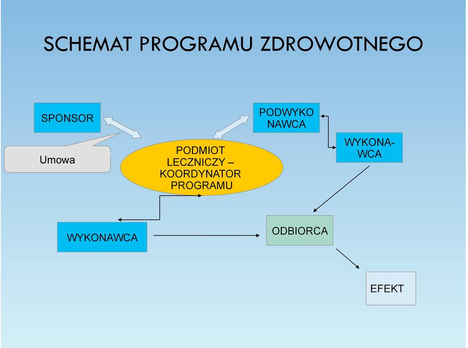 KOORDYNATOR PROGRAMU PODWYKO