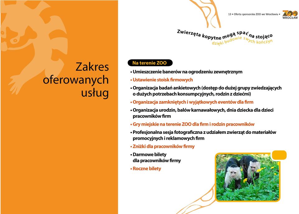 Organizacja zamkniętych i wyjątkowych eventów dla firm Organizacja urodzin, balów karnawałowych, dnia dziecka dla dzieci pracowników firm Gry miejskie na terenie ZOO dla firm i