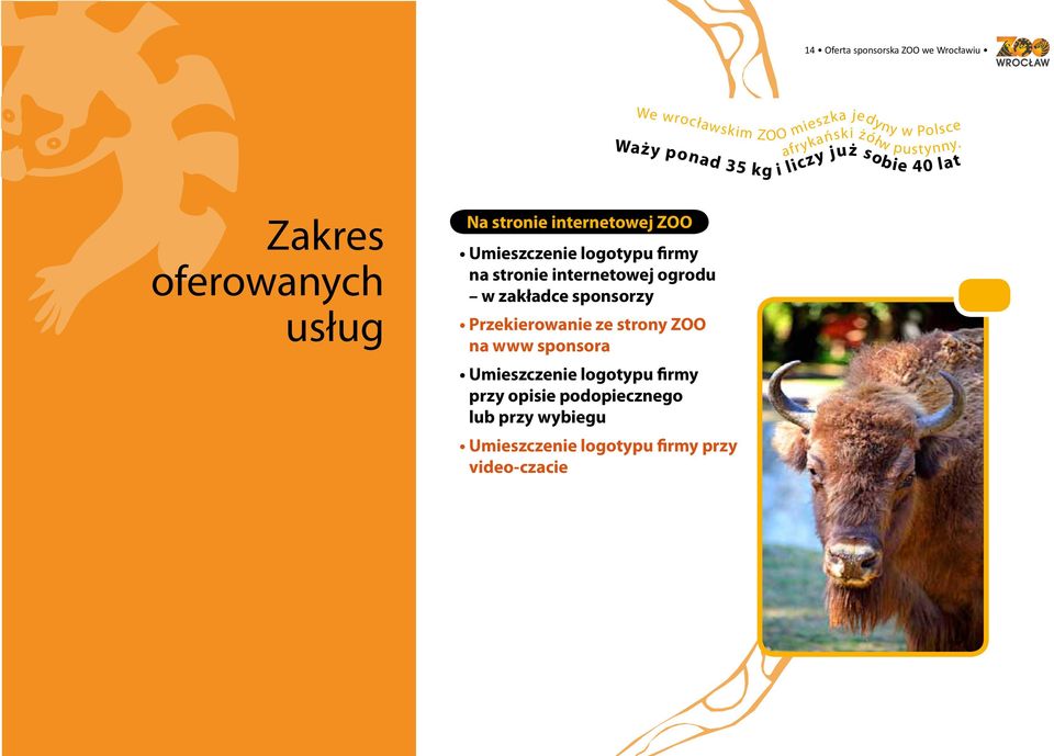 Zakres oferowanych usług Na stronie internetowej ZOO Umieszczenie logotypu firmy na stronie internetowej