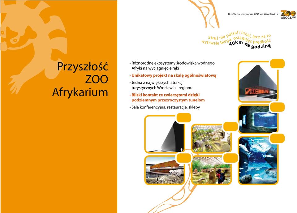 ręki Unikatowy projekt na skalę ogólnoświatową Jedna z największych atrakcji turystycznych Wrocławia i