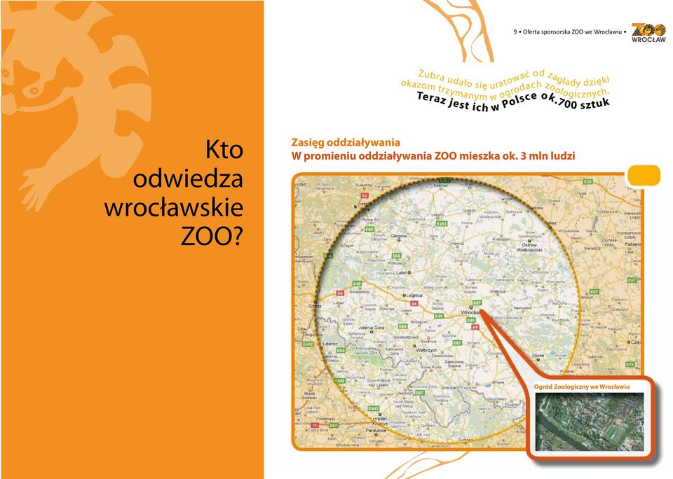 Teraz jest ich w Polsce ok.700 sztuk Kto odwiedza wrocławskie ZOO?