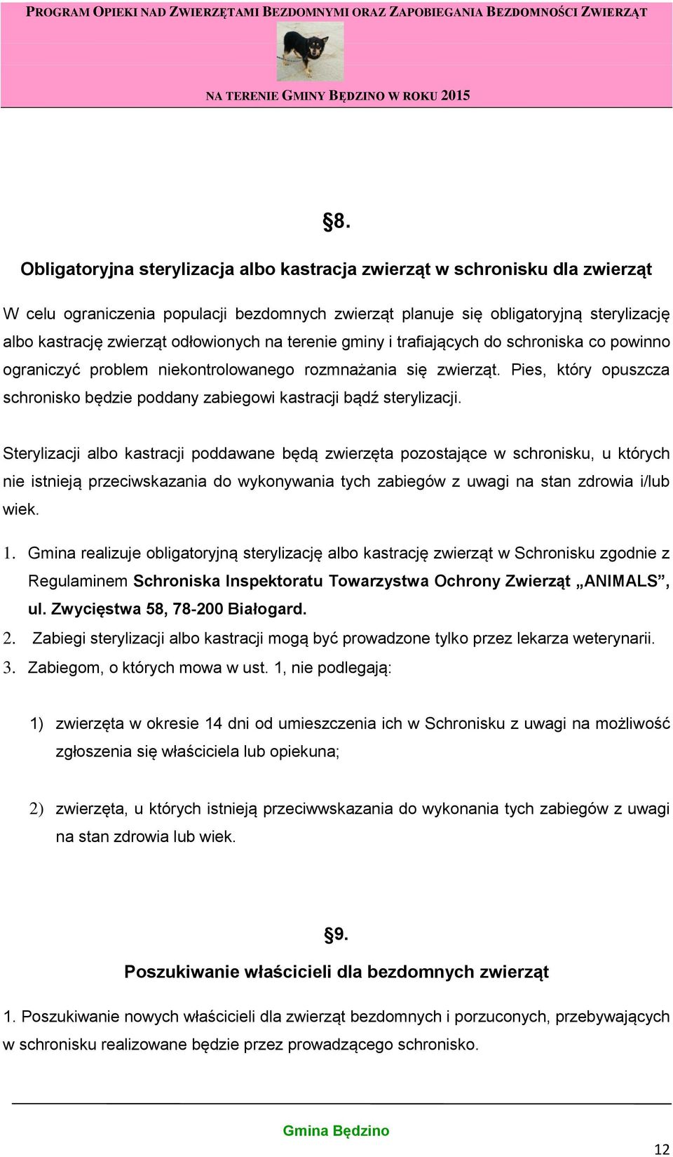 Pies, który opuszcza schronisko będzie poddany zabiegowi kastracji bądź sterylizacji.