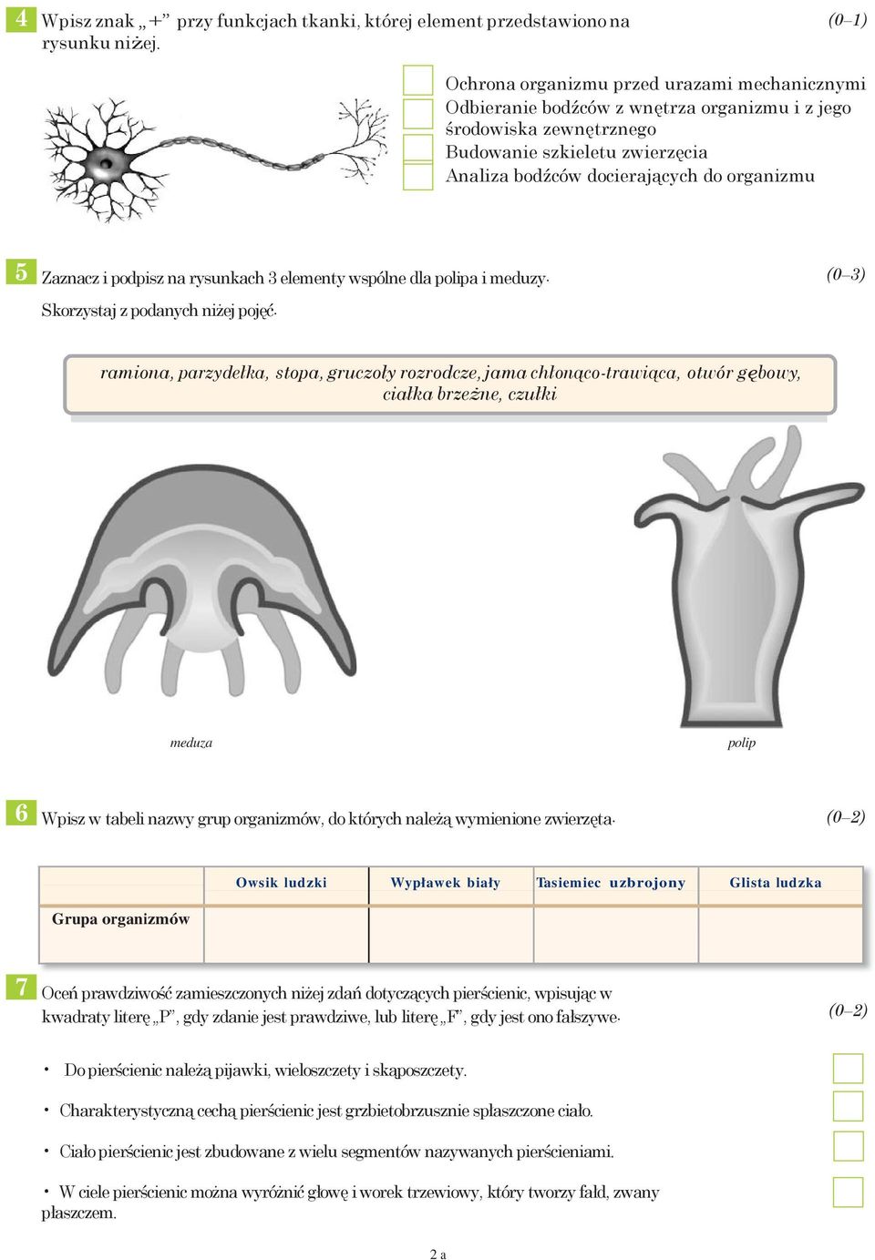 Zaznacz i podpisz na rysunkach 3 elementy wspólne dla polipa i meduzy. Skorzystaj z podanych niżej pojęć.