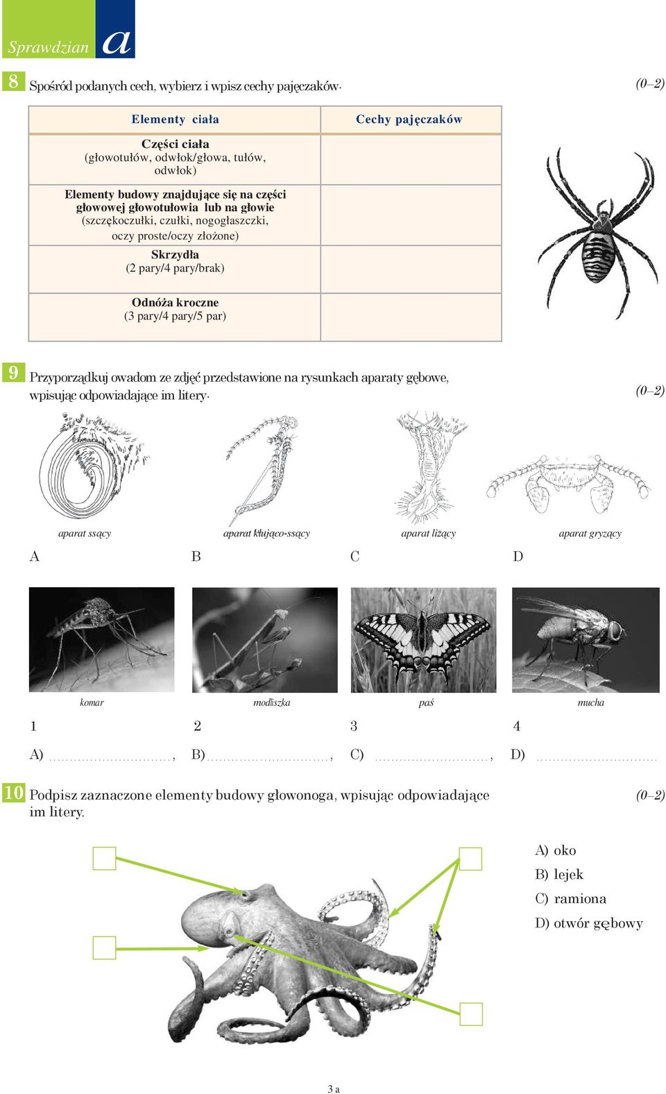 nogogłaszczki, oczy proste/oczy złożone) Skrzydła (2 pary/4 pary/brak) Odnóża kroczne (3 pary/4 pary/5 par) 9 Przyporządkuj owadom ze zdjęć przedstawione na rysunkach aparaty gębowe, wpisując