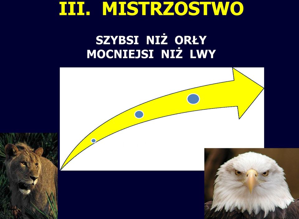 SZYBSI NIŻ