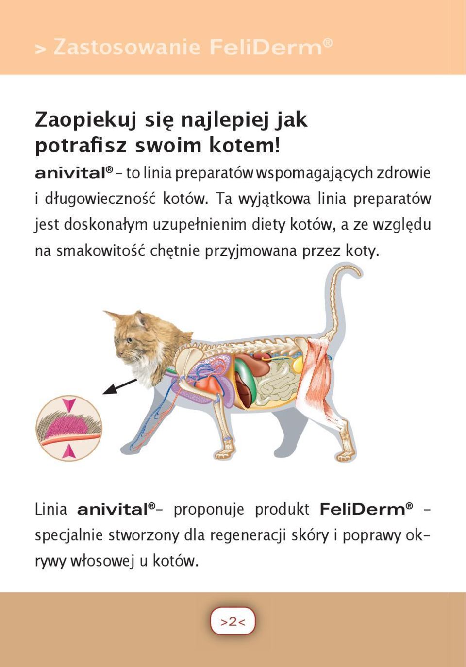 Ta wyjątkowa linia preparatów jest doskonałym uzupełnienim diety kotów, a ze względu na smakowitość