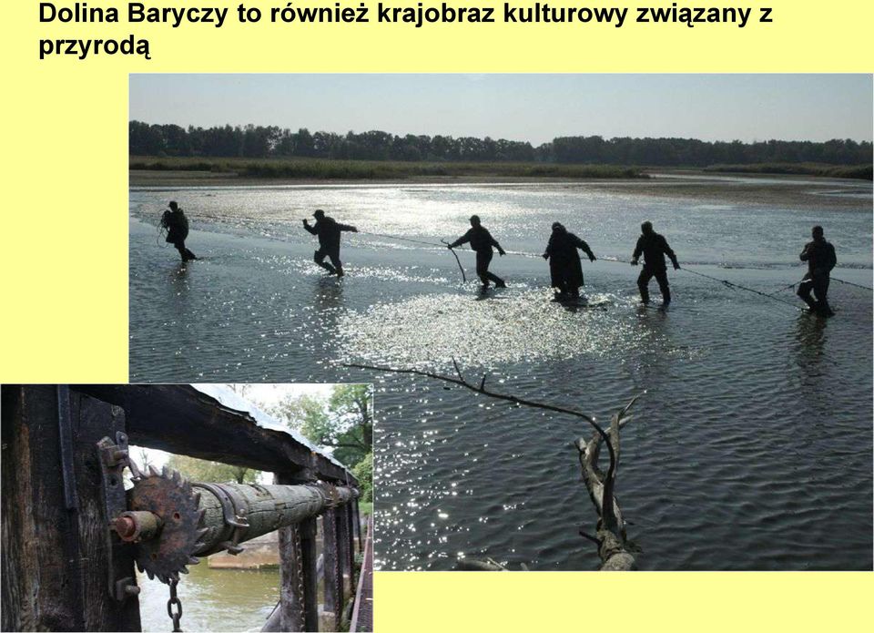 krajobraz