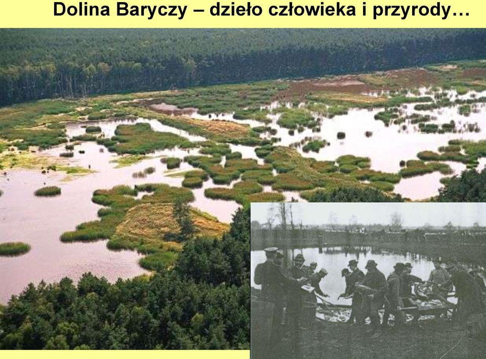 BARYCZY 55 360 ha 7% 2% 20% 43%