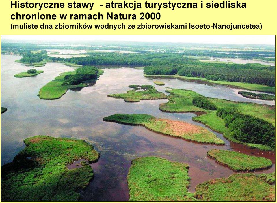 ramach Natura 2000 (muliste dna