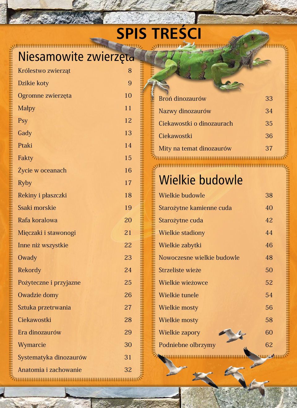 dinozaurów 33 Nazwy dinozaurów 34 Ciekawostki o dinozaurach 35 Ciekawostki 36 Mity na temat dinozaurów 37 Wielkie budowle Wielkie budowle 38 Starożytne kamienne cuda 40 Starożytne cuda 42 Wielkie