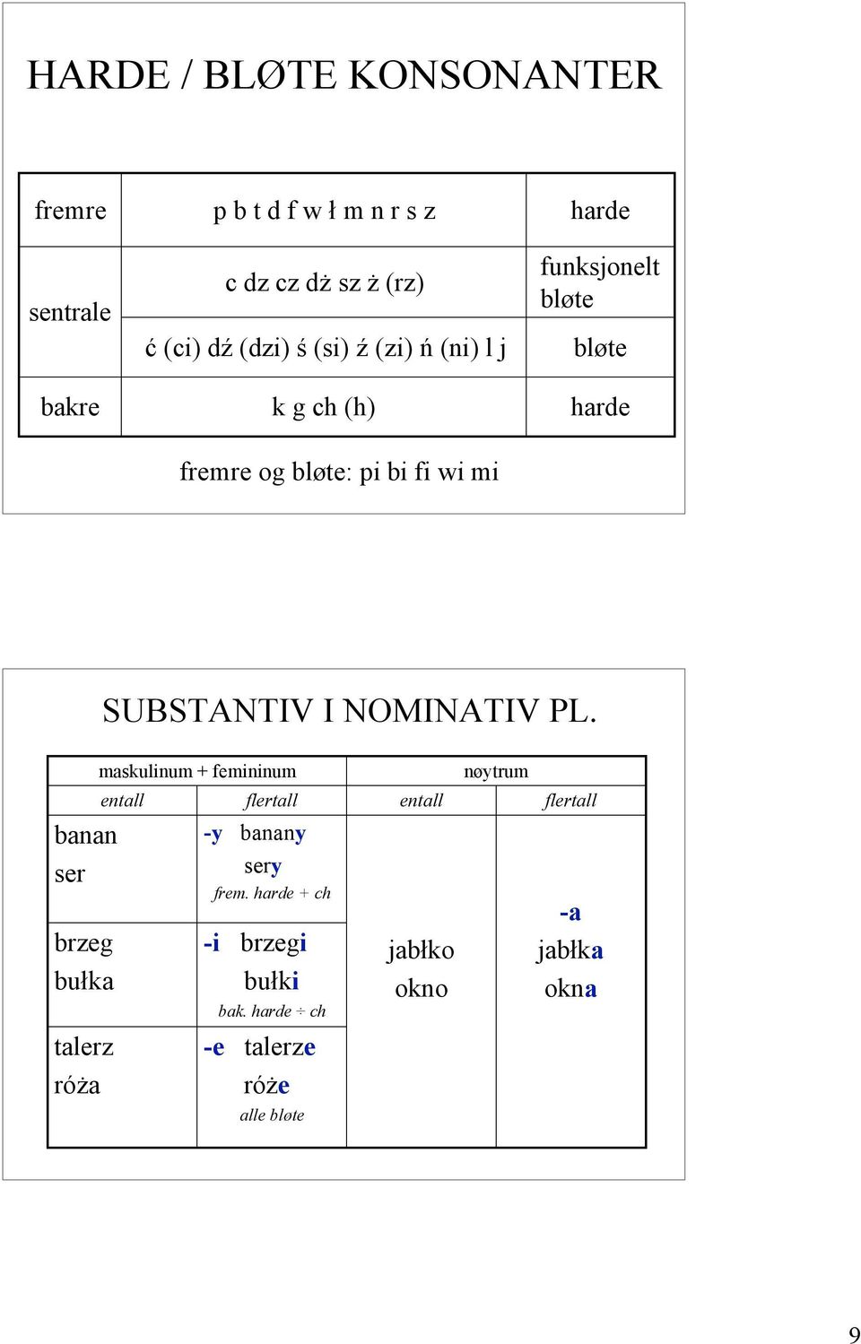 I NOMINATIV PL.
