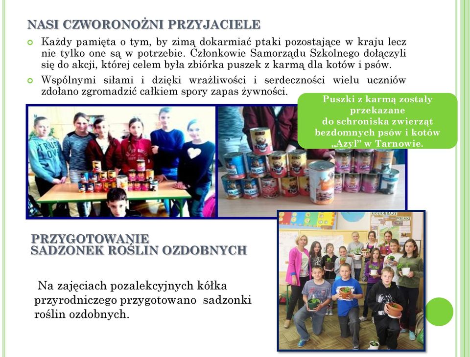 Wspólnymi siłami i dzięki wrażliwości i serdeczności wielu uczniów zdołano zgromadzić całkiem spory zapas żywności.