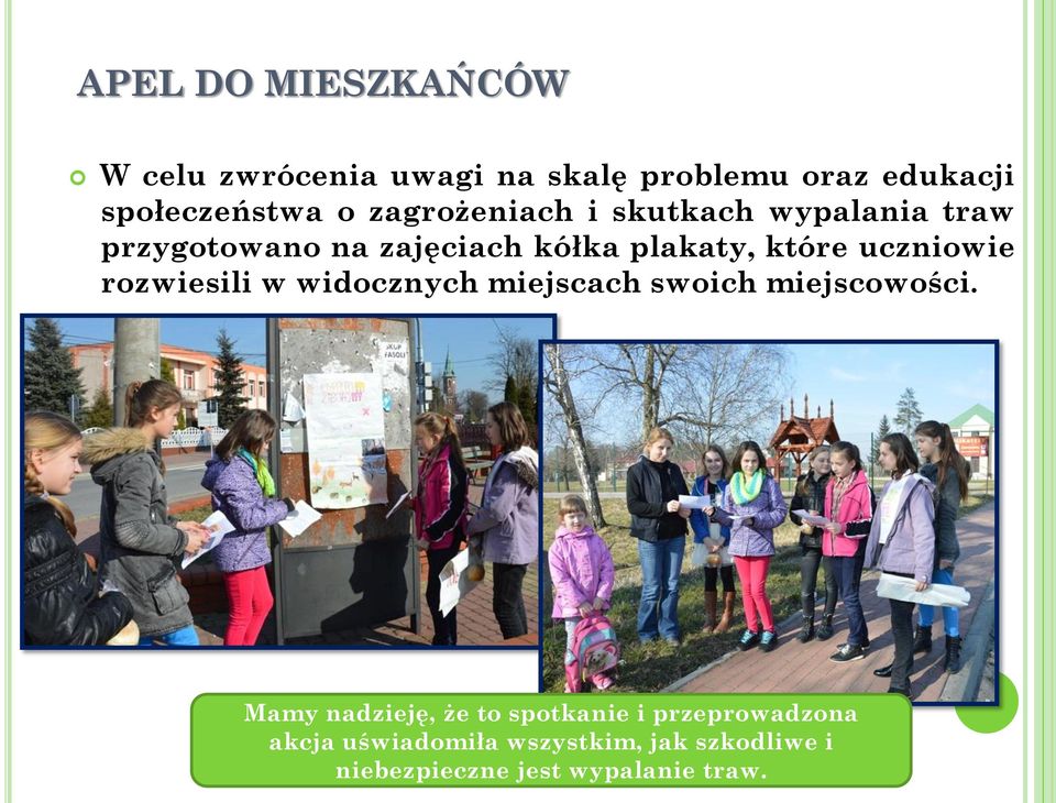 uczniowie rozwiesili w widocznych miejscach swoich miejscowości.