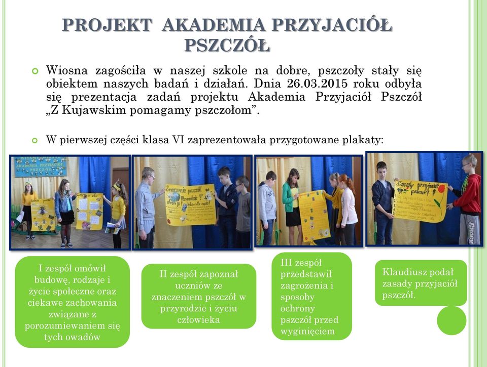 W pierwszej części klasa VI zaprezentowała przygotowane plakaty: I zespół omówił budowę, rodzaje i życie społeczne oraz ciekawe zachowania związane z