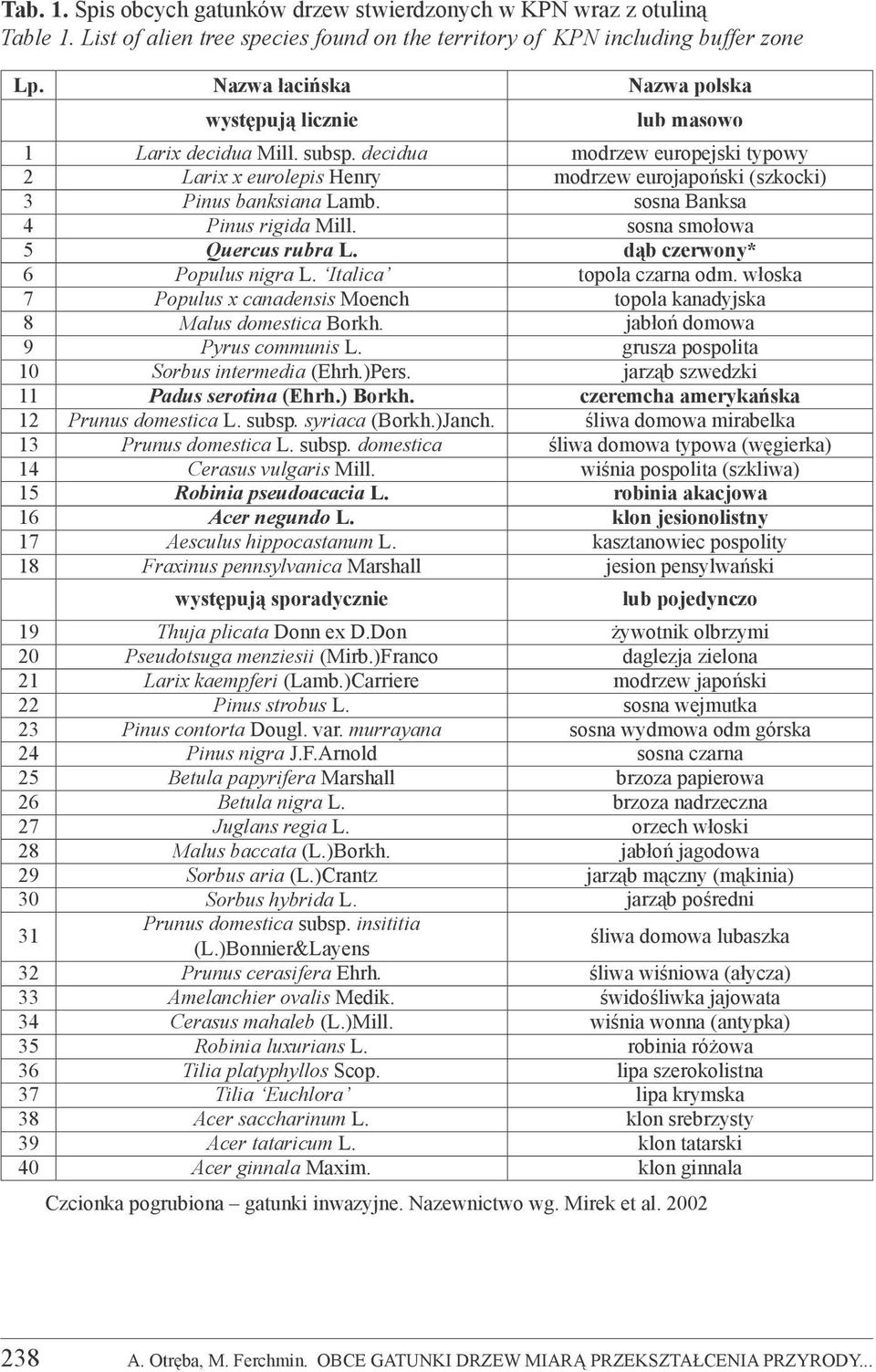 sosna Banksa 4 Pinus rigida Mill. sosna smołowa 5 Quercus rubra L. dąb czerwony* 6 Populus nigra L. Italica topola czarna odm.