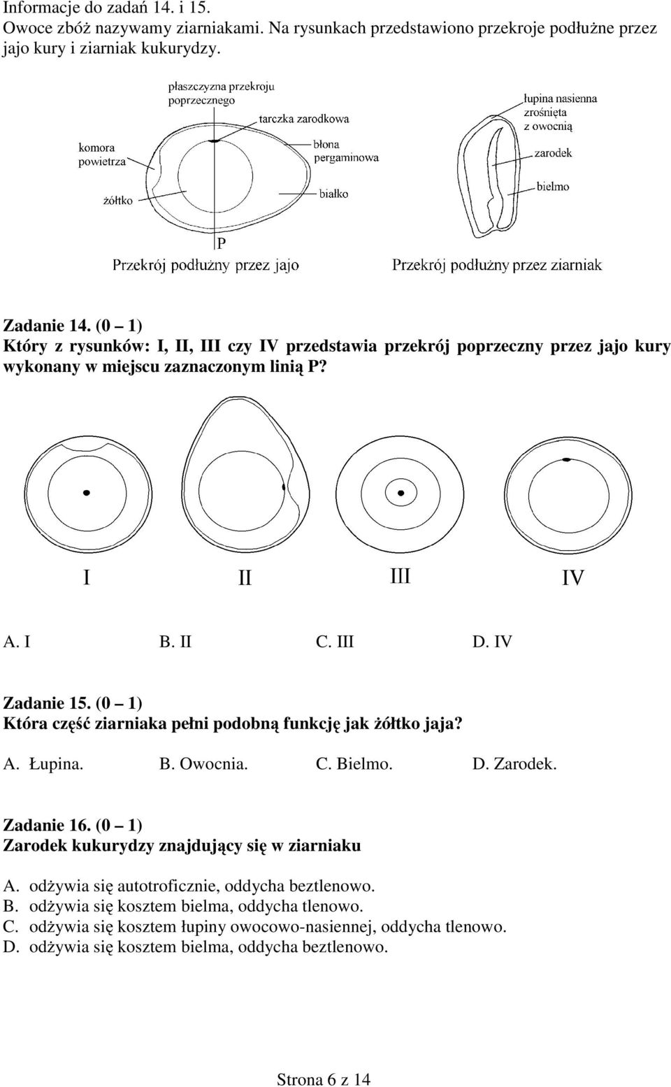 (0 1) Która cz ziarniaka pełni podobn funkcj jak ółtko jaja? A. Łupina. B. wocnia. C. Bielo. D. Zarodek. Zadanie 16. (0 1) Zarodek kukurydzy znajduj cy i w ziarniaku A.