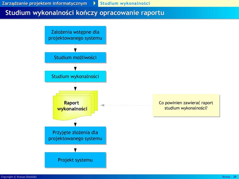 zawierać raport studium wykonalności?