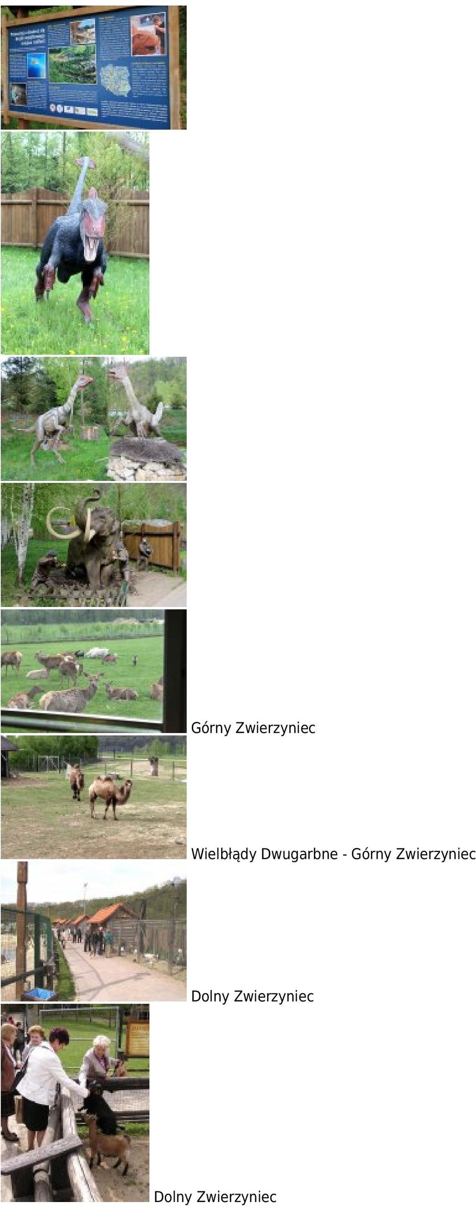 Dolny Zwierzyniec Dolny