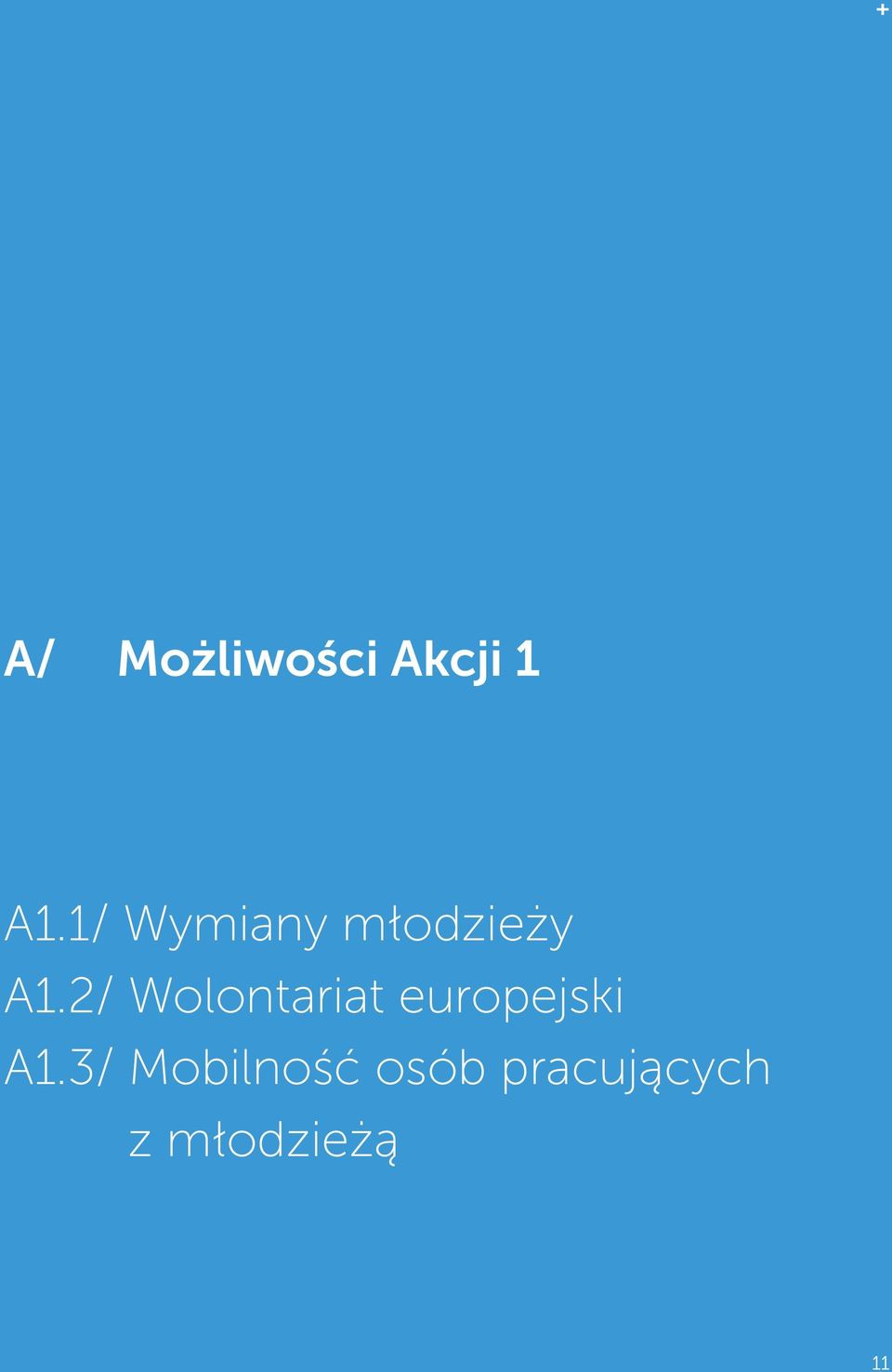 2/ Wolontariat europejski A1.