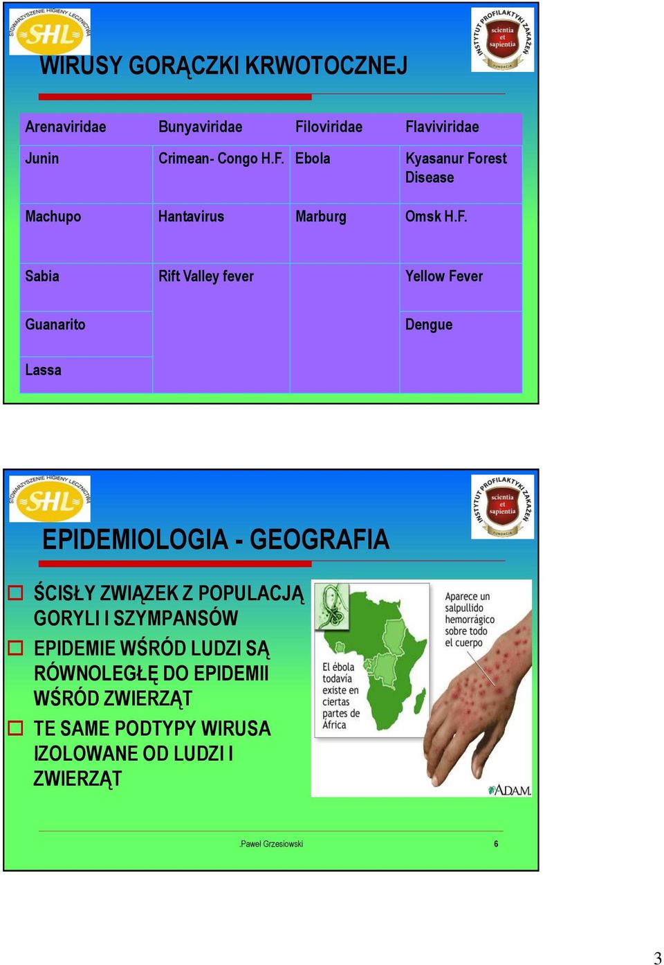 F. Sabia Rift Valley fever Yellow Fever Guanarito Dengue Lassa EPIDEMIOLOGIA - GEOGRAFIA ŚCISŁY ZWIĄZEK Z