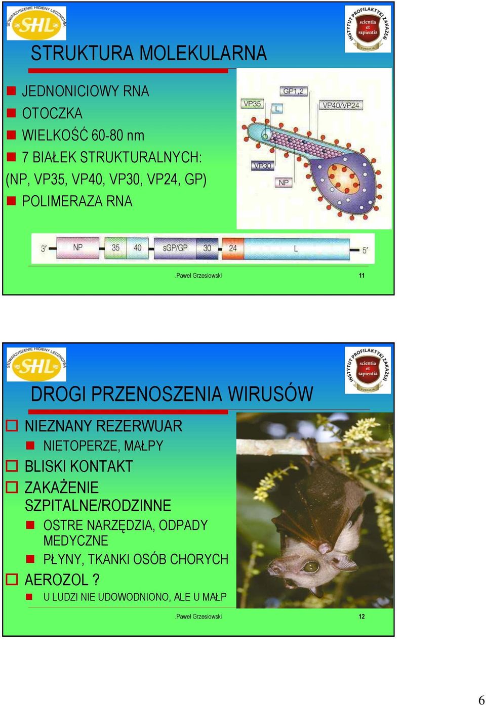 REZERWUAR NIETOPERZE, MAŁPY BLISKI KONTAKT ZAKAŻENIE SZPITALNE/RODZINNE OSTRE NARZĘDZIA,
