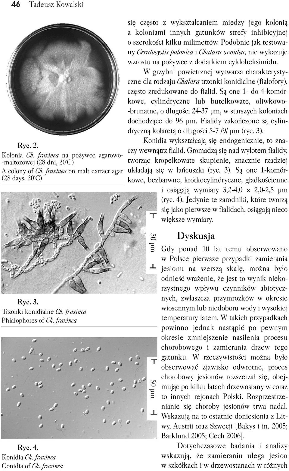 Podobnie jak testowa ny Ceratocystis polonica i Chalara ovoidea, nie wykazuje wzrostu na pożywce z dodatkiem cykloheksimidu.
