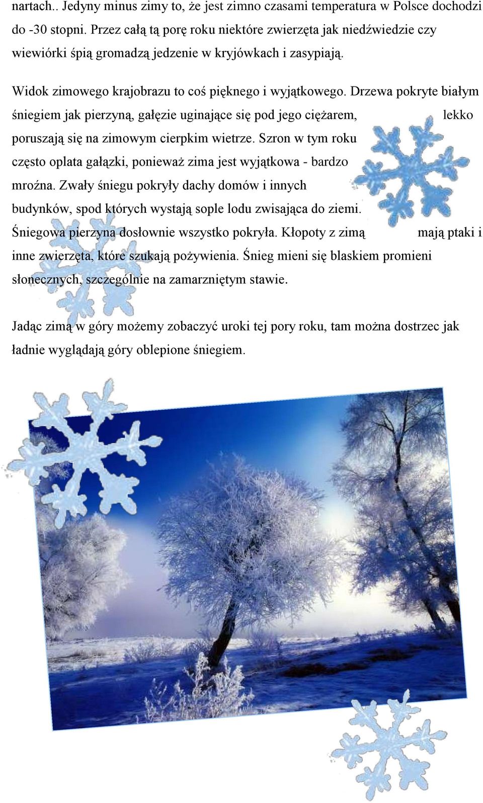 Drzewa pokryte białym śniegiem jak pierzyną, gałęzie uginające się pod jego ciężarem, lekko poruszają się na zimowym cierpkim wietrze.