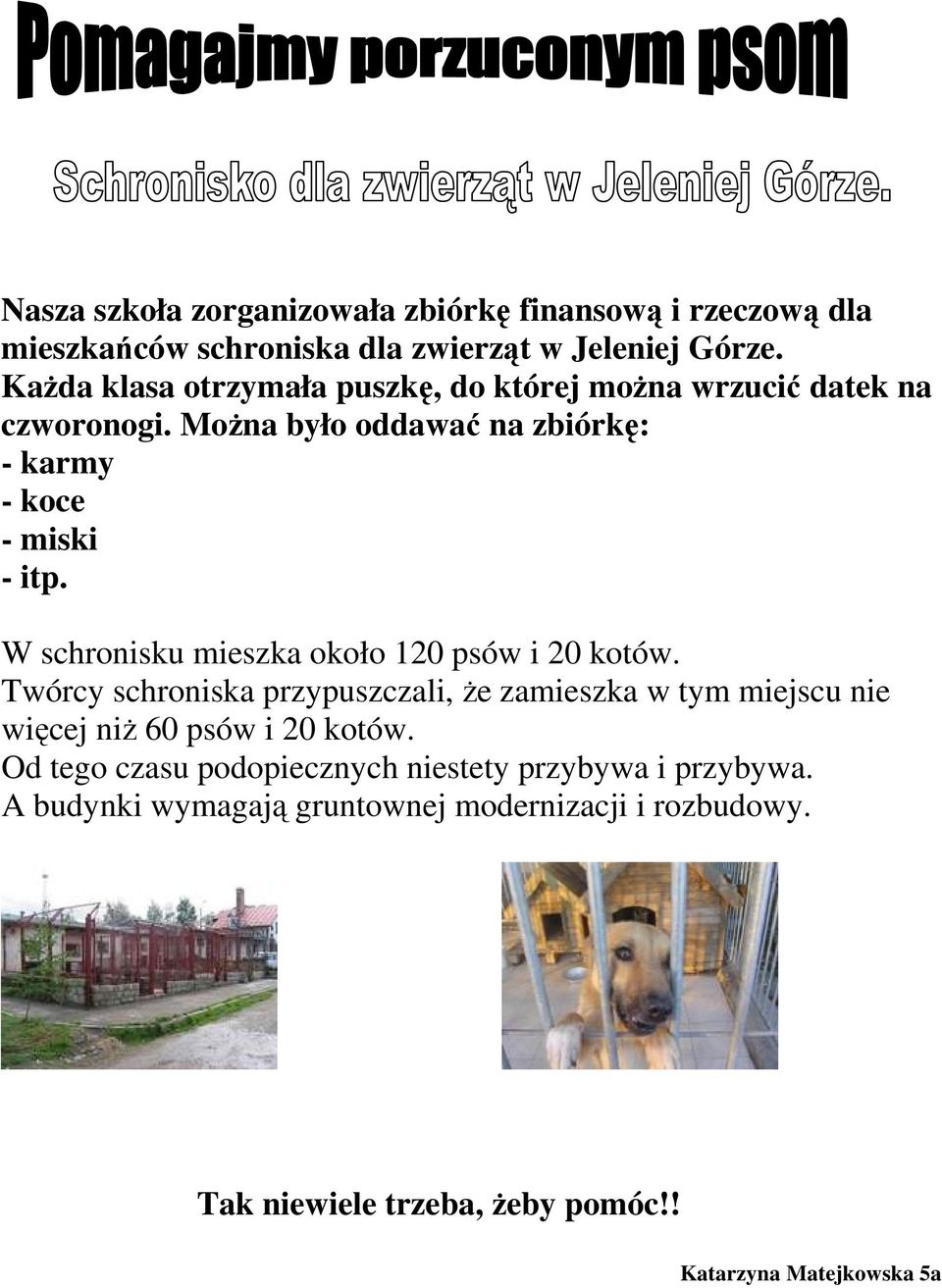 W schronisku mieszka około 120 psów i 20 kotów. Twórcy schroniska przypuszczali, że zamieszka w tym miejscu nie więcej niż 60 psów i 20 kotów.