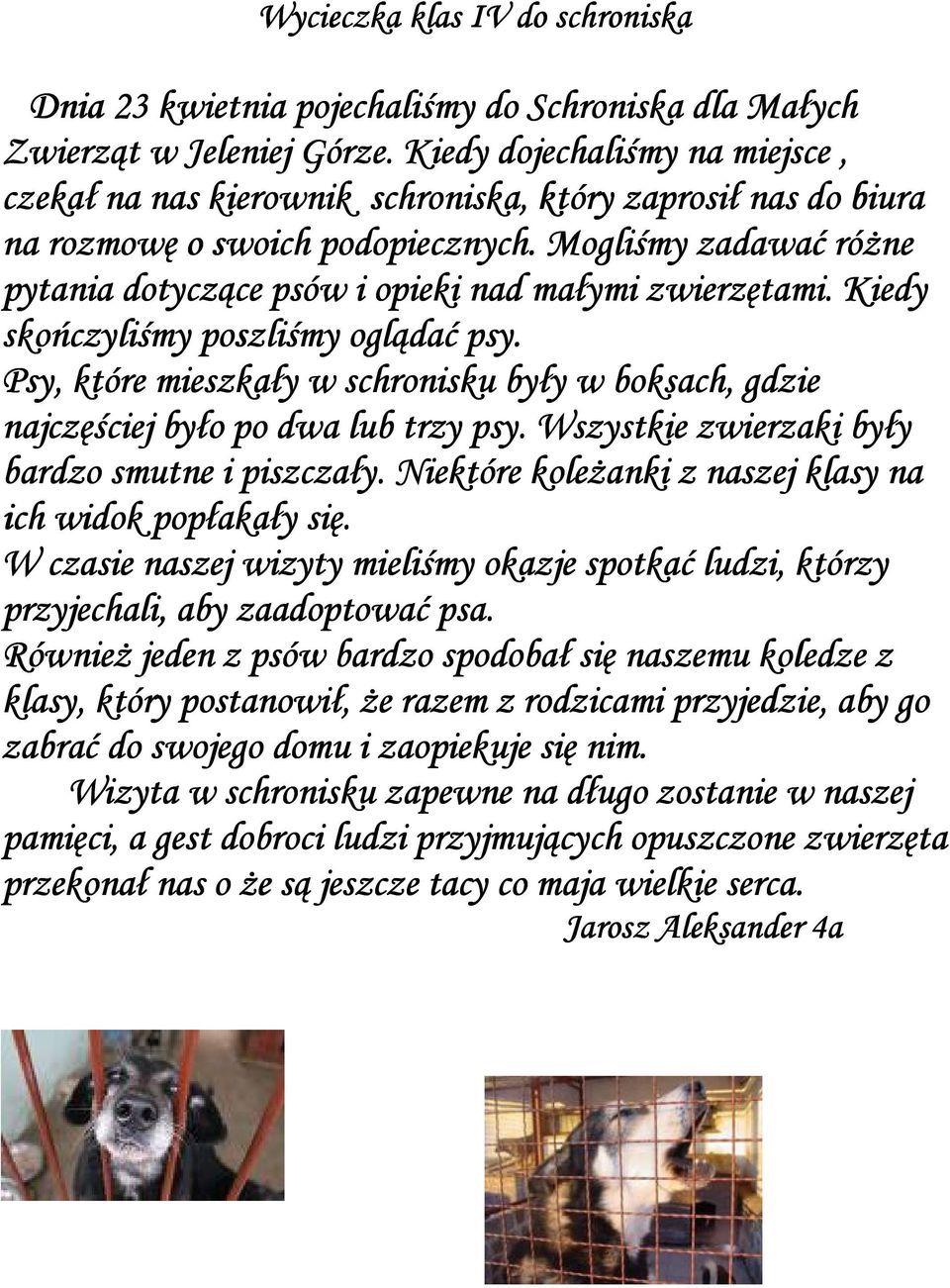 Mogliśmy zadawać różne pytania dotyczące psów i opieki nad małymi zwierzętami.. Kiedy skończyliśmy poszliśmy oglądać psy.