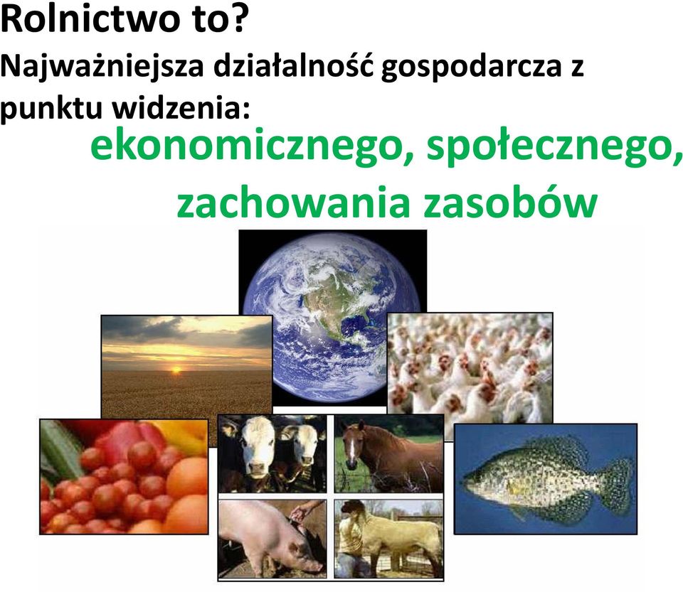 gospodarcza z punktu widzenia: