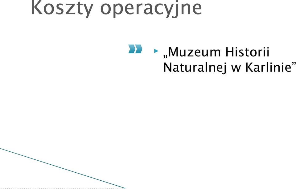 Muzeum