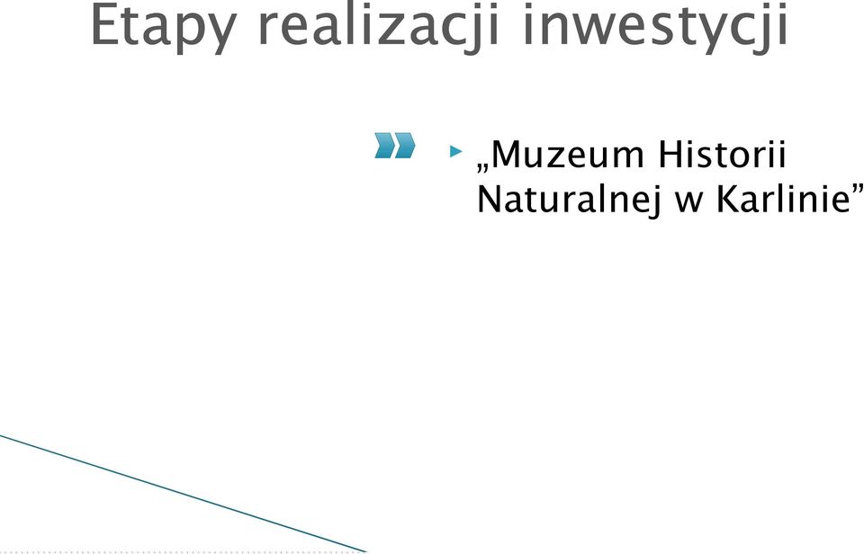 Muzeum Historii