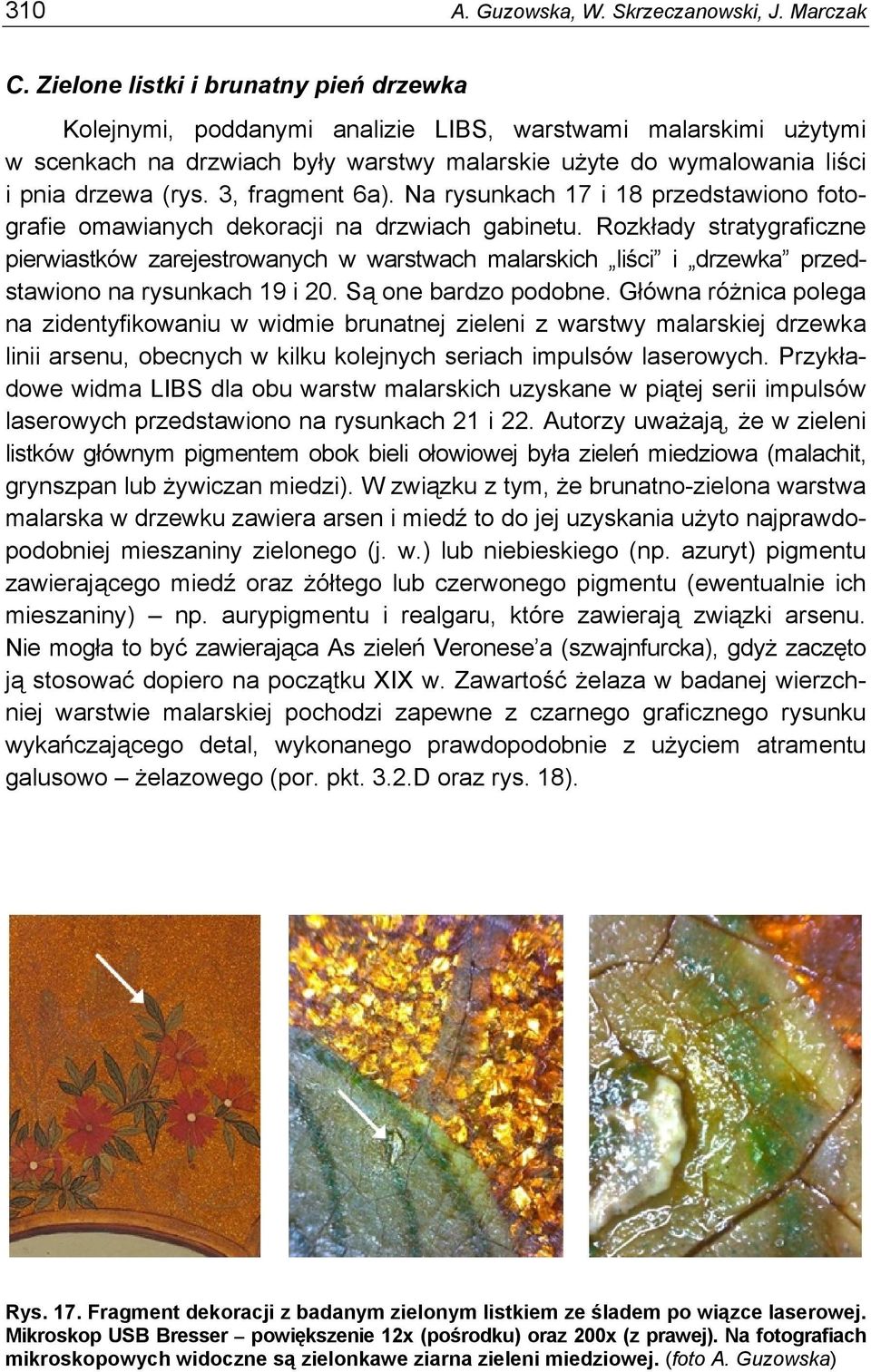 3, fragment 6a). Na rysunkach 17 i 18 przedstawiono fotografie omawianych dekoracji na drzwiach gabinetu.
