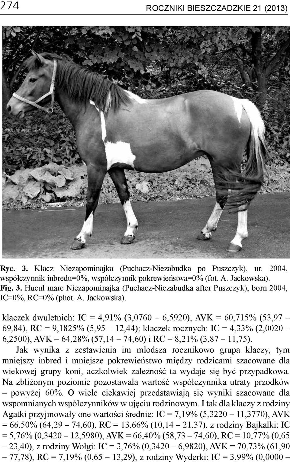 klaczek dwuletnich: IC = 4,91% (3,0760 6,5920), AVK = 60,715% (53,97 69,84), RC = 9,1825% (5,95 12,44); klaczek rocznych: IC = 4,33% (2,0020 6,2500), AVK = 64,28% (57,14 74,60) i RC = 8,21% (3,87