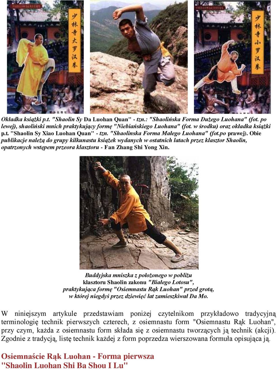 Obie publikacje należą do grupy kilkunastu książek wydanych w ostatnich latach przez klasztor Shaolin, opatrzonych wstępem przeora klasztoru - Fan Zhang Shi Yong Xin.