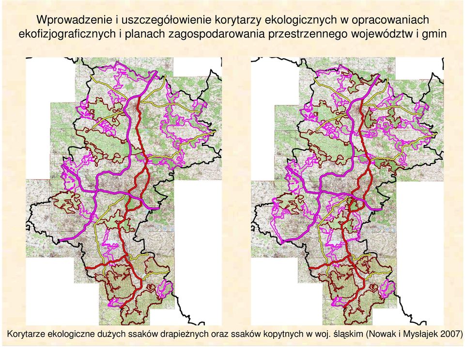 przestrzennego województw i gmin Korytarze ekologiczne duŝych