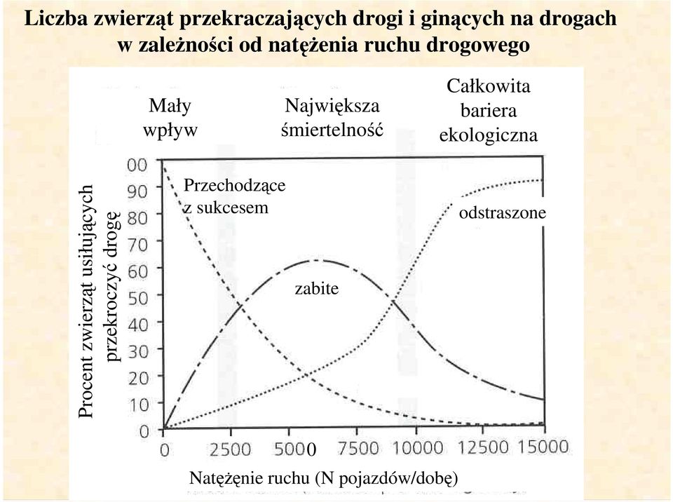 bariera ekologiczna Procent zwierząt usiłujących przekroczyć drogę