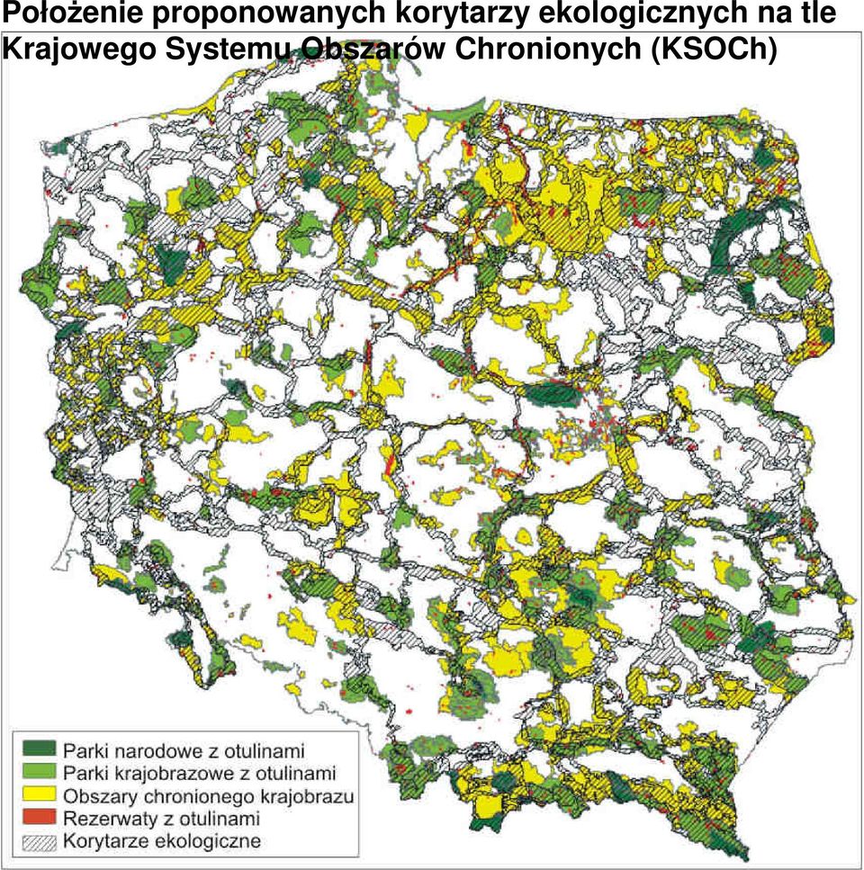 na tle Krajowego Systemu