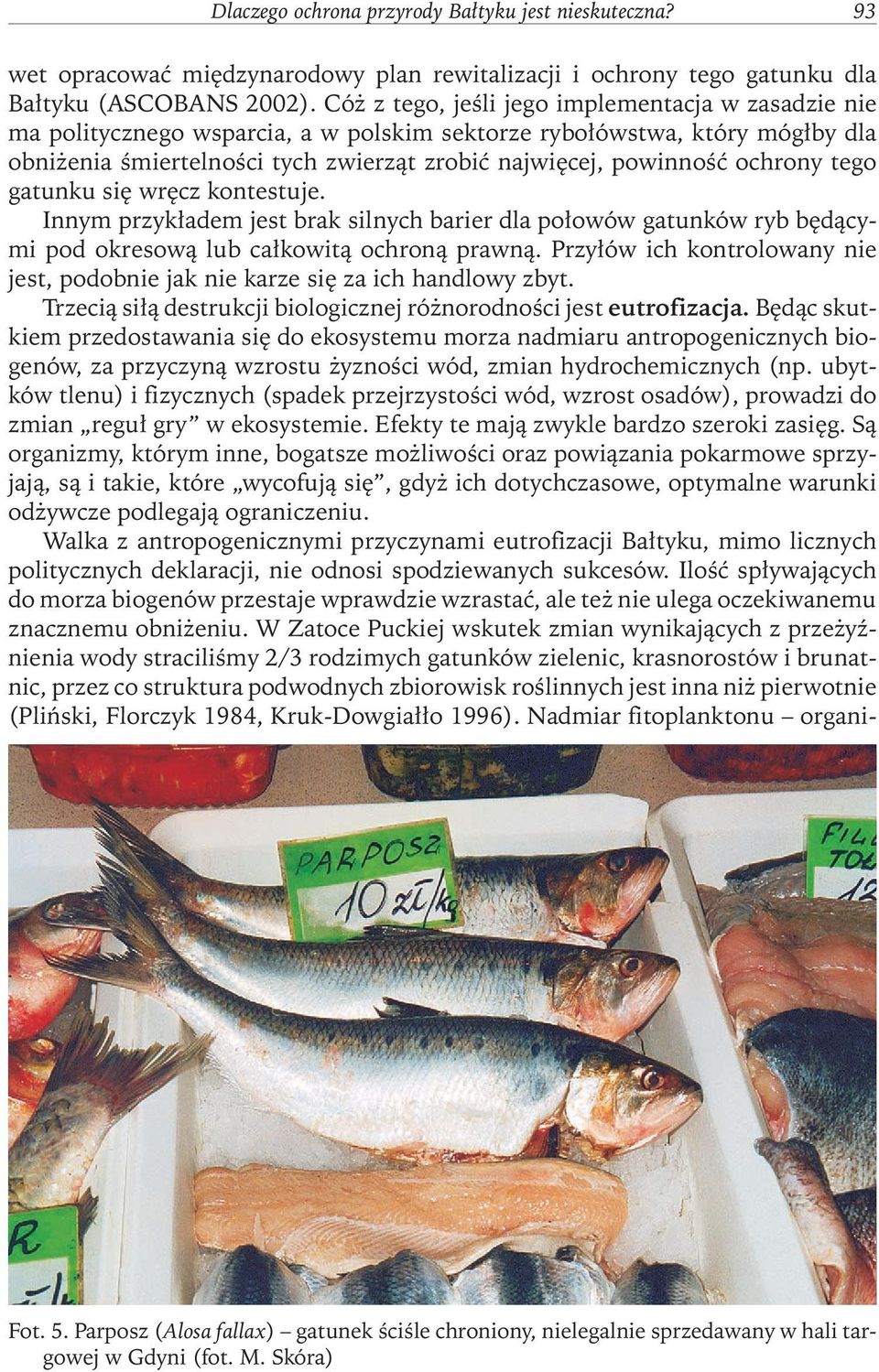 powinnośćochrony tego gatunku się wręcz kontestuje. Innym przykładem jest brak silnych barier dla połowów gatunków ryb będącymi pod okresową lub całkowitą ochroną prawną.
