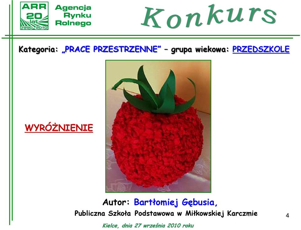Bartłomiej Gębusia, Publiczna