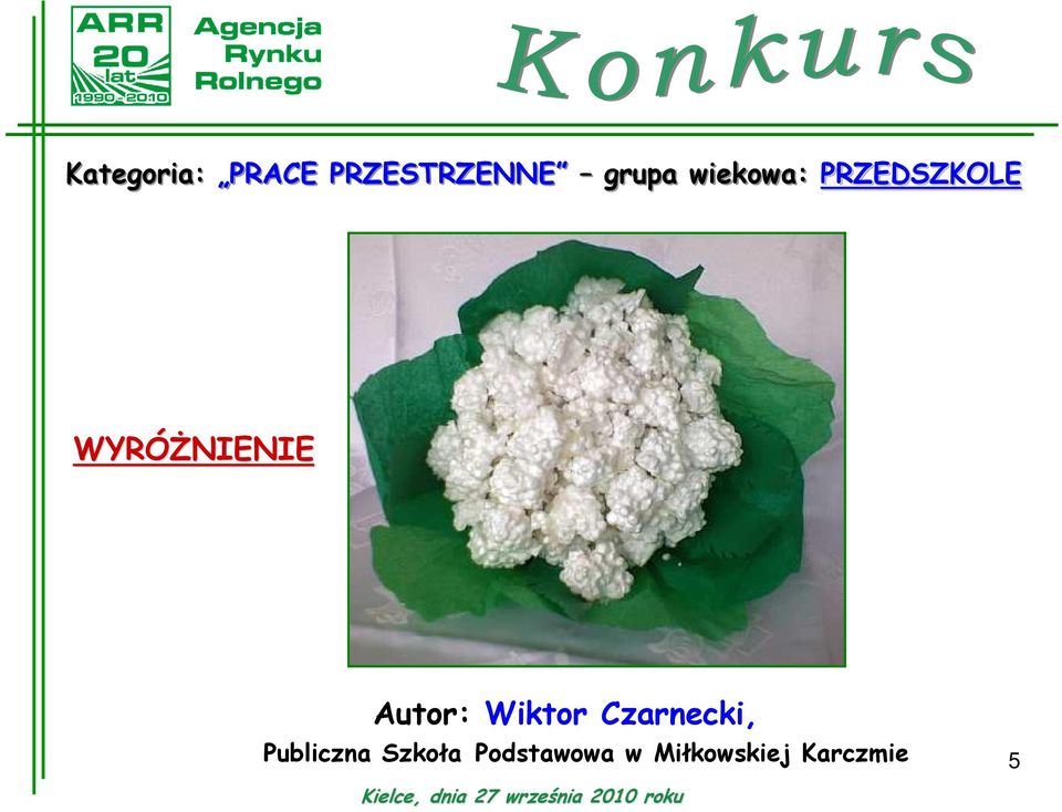 Wiktor Czarnecki, Publiczna