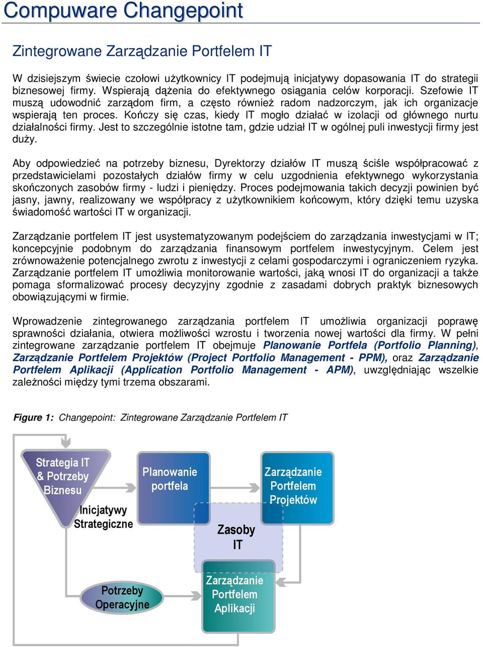 Kończy się czas, kiedy IT mogło działać w izolacji od głównego nurtu działalności firmy. Jest to szczególnie istotne tam, gdzie udział IT w ogólnej puli inwestycji firmy jest duży.